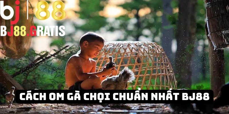 BJ88 - Hướng dẫn tân binh cách om gà chọi chuẩn chỉ 2025