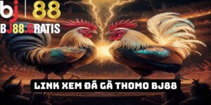 BJ88 - Hướng dẫn tân binh quy trình vào link xem đá gà Thomo