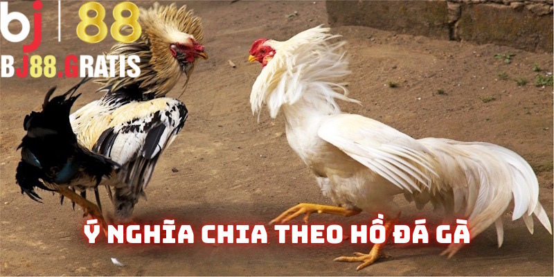 Ý nghĩa chia theo hồ đá gà BJ88